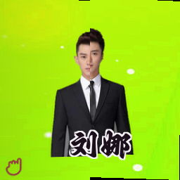 刘娜